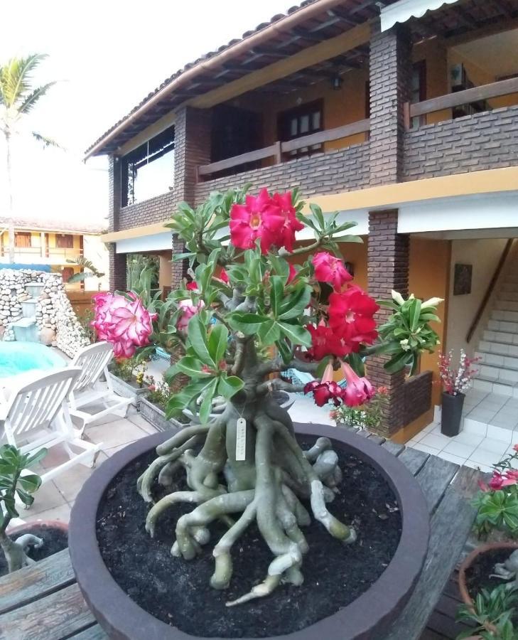 Pousada A Flor Da Terra Porto Seguro Luaran gambar